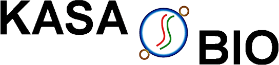 Client Six logo